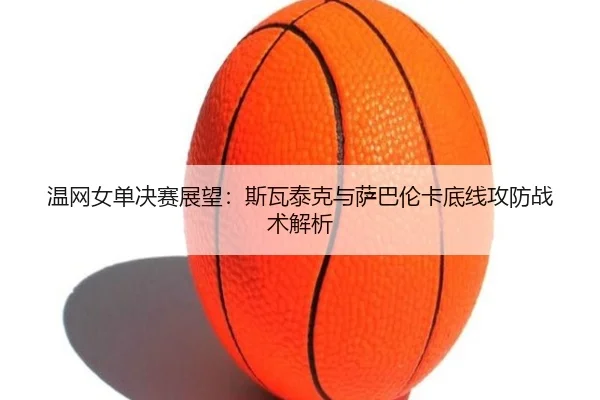 wen-wang-nv-dan-jue-sai-zhan-wang-si-wa-tai-ke-yu-sa-ba-lun-ka-di-xian-gong-fang-zhan-shu-jie-xi-2-839.jpg
